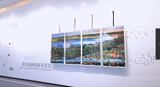 滨海14.gif